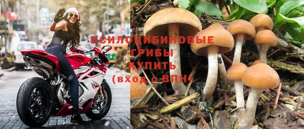 молекула духа Алексеевка