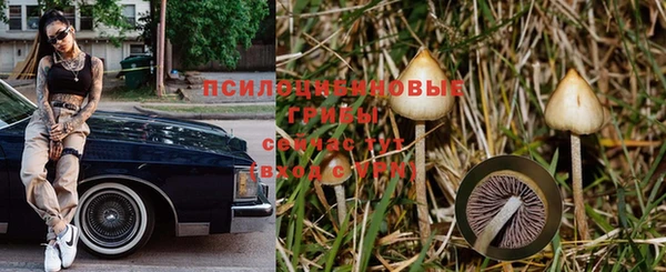 а пвп мука Алзамай