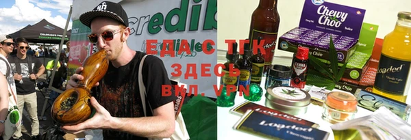 гидра Абаза