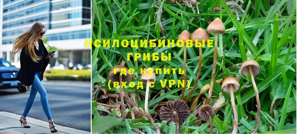 а пвп мука Алзамай
