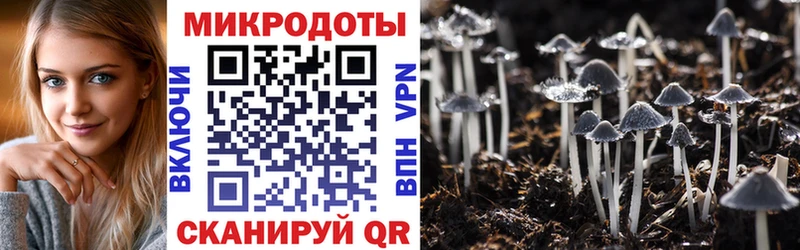 Псилоцибиновые грибы ЛСД  Алзамай 