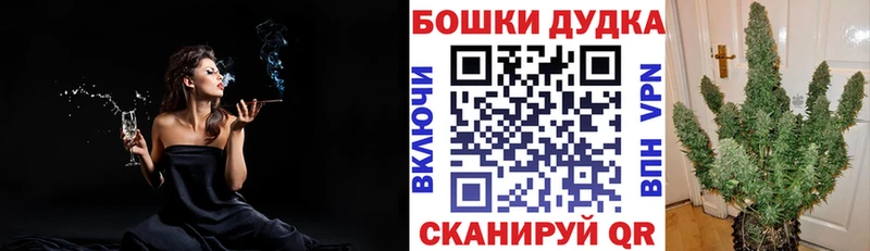 Конопля White Widow  МЕГА ССЫЛКА  Алзамай  как найти закладки 